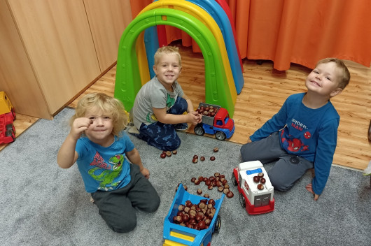 Kaštánek do dlaně