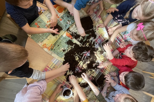 Jaro přišlo do zahrádky