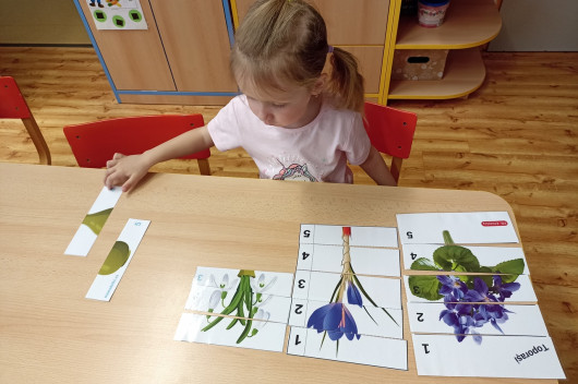 Příroda se probouzí