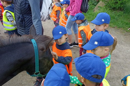 Výlet za zvířátky